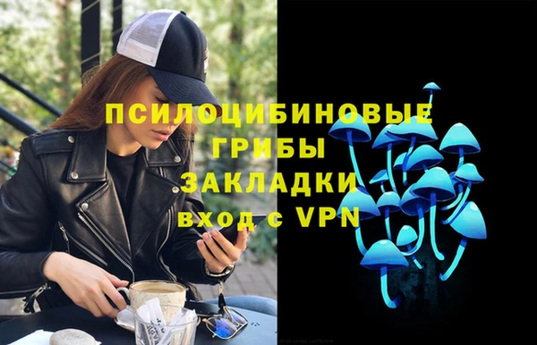 кокс Каменка