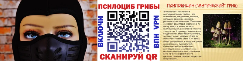 Галлюциногенные грибы мицелий  Княгинино 