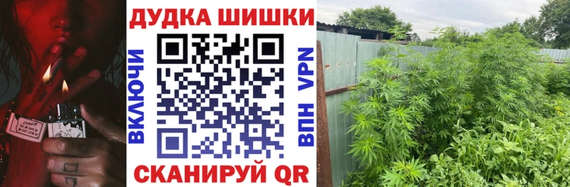 Каннабис Amnesia Княгинино